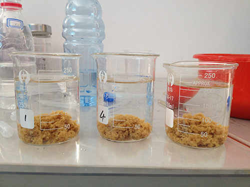 �մɏS(ch��ng)�Uˮ�þۺ��Ȼ��X�r(ji��)���x